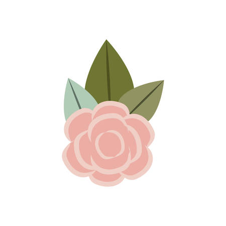 White background with colorful silhouette of rose floral ornament vector illustrationのイラスト素材