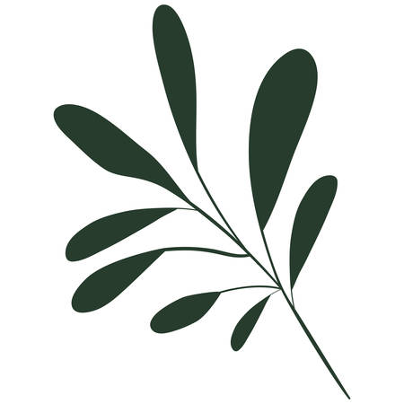 White background with colorful silhouette of branch with oval leaves vector illustrationのイラスト素材