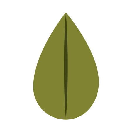 White background with colorful silhouette of ovoid leaf vector illustrationのイラスト素材