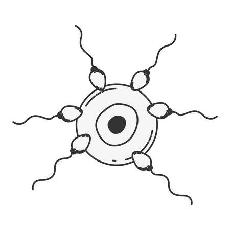 Sketch silhouette of arrival of the spermatozoa to the ovule vector illustration.のイラスト素材