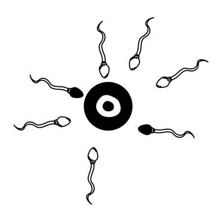 black silhouette of arrival of the spermatozoa to the ovule vector illustrationのイラスト素材