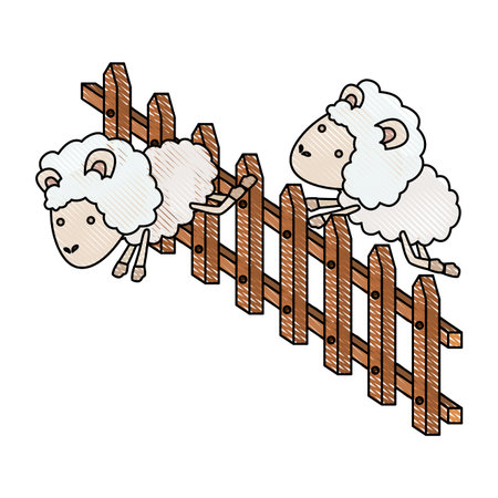 Sheep animal couple jumping a wooden fence in color crayon silhouette on white background vector illustrationのイラスト素材