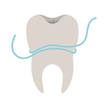 tooth with root and dental floss around in colorful silhouette vector illustrationのイラスト素材