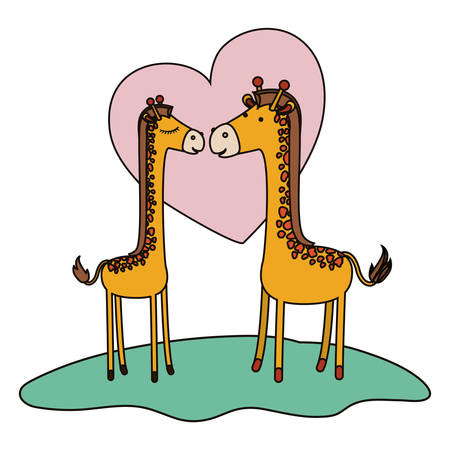 giraffes couple over grass in colorful silhouette on white background with heart vector illustrationのイラスト素材