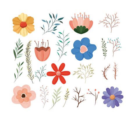 set floral decoration vintage style vector illustration designのイラスト素材