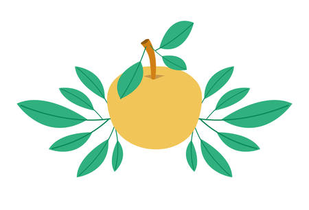 orange with leafs fresh and citrus fruit vector illustration designのイラスト素材