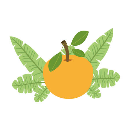orange with leafs fresh and citrus fruit vector illustration designのイラスト素材