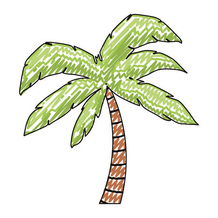 Tree palm tropical plant vector illustration design.のイラスト素材