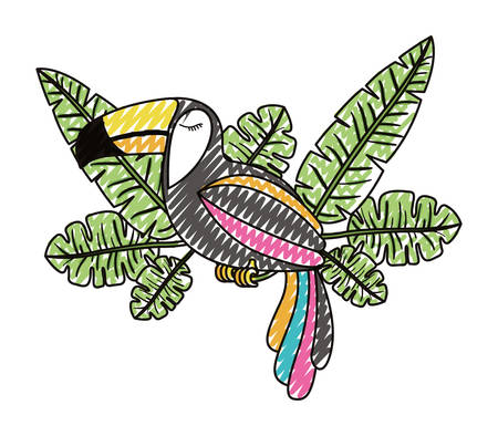 Toucan exotic bird with leafs palm vector illustration design.のイラスト素材