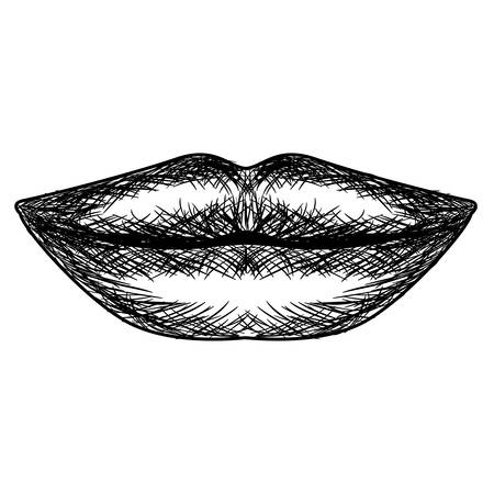 female lips sensuality icon vector illustration designのイラスト素材