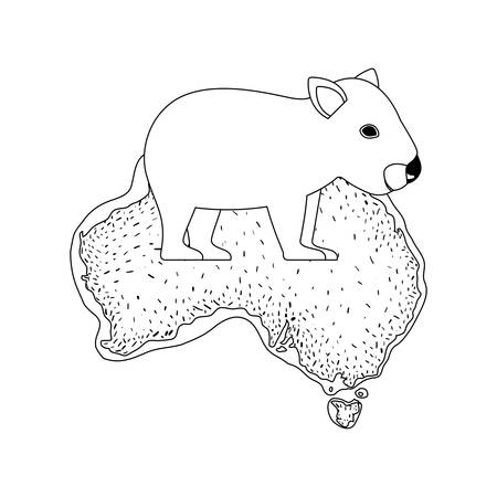 wild wombat creature over australian map vector illustration designのイラスト素材