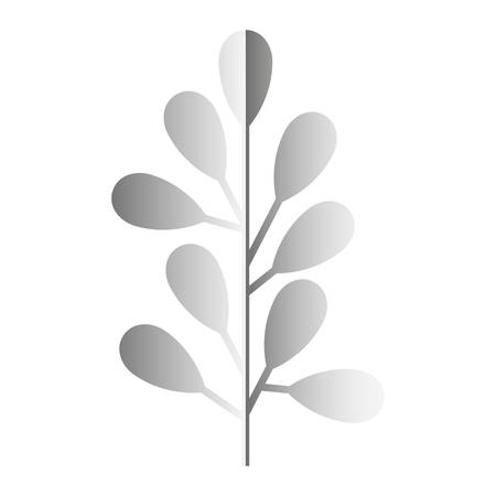 branch with leafs silvery decoration vector illustration designのイラスト素材