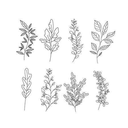 branch with leafs decorative icons vector illustration designのイラスト素材