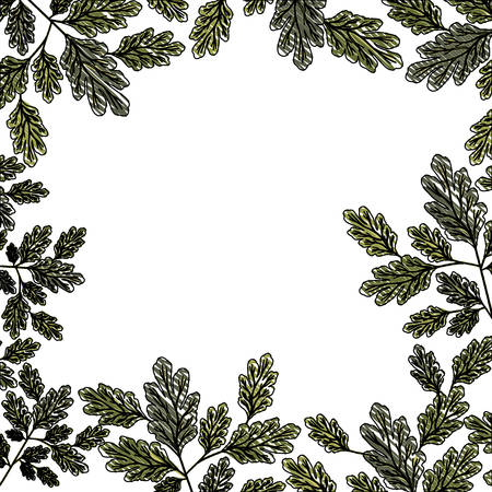 branch with leafs ecology frame vector illustration designのイラスト素材