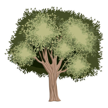 tree painted watercolor style vector illustration designのイラスト素材