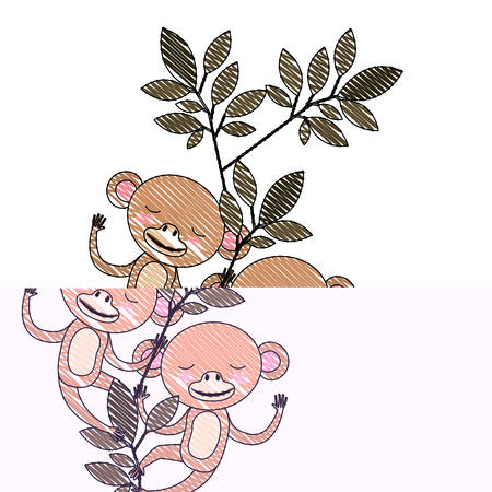 wild monkeys couple in the jungle vector illustration designのイラスト素材