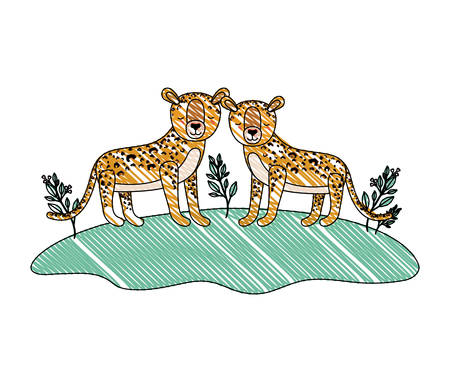 wild cheetahs in the field vector illustration designのイラスト素材