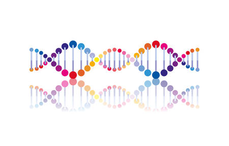 horizontal dna chain science colorful icon vector illustration designのイラスト素材