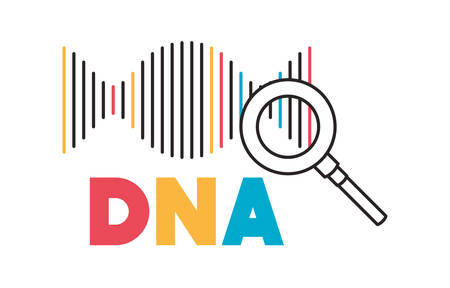 dna chain with magnifying glass vector illustration designのイラスト素材