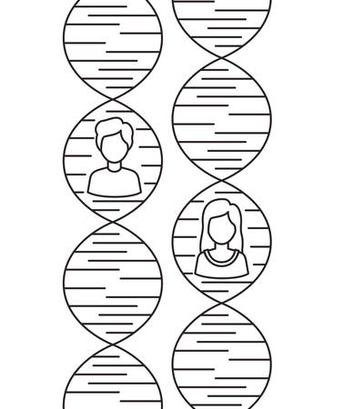 dna chain with genders characters vector illustration designのイラスト素材