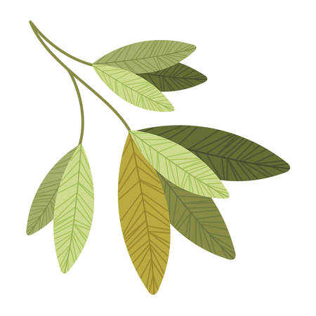 branch with leafs isolated icon vector illustration designのイラスト素材