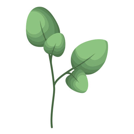 branch with leafs isolated icon vector illustration desingのイラスト素材
