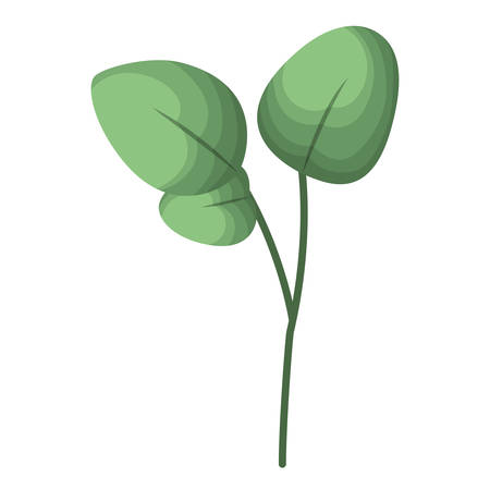 branch with leafs isolated icon vector illustration desingのイラスト素材