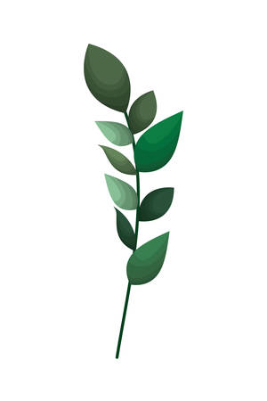 branch with leafs isolated icon vector illustration desingのイラスト素材