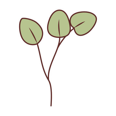 branch with leafs isolated icon vector illustration desingのイラスト素材