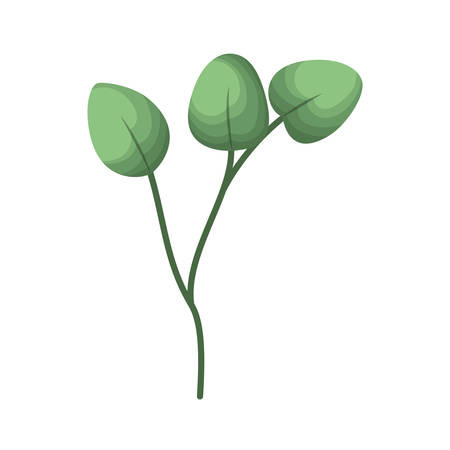 branch with leafs isolated icon vector illustration desingのイラスト素材