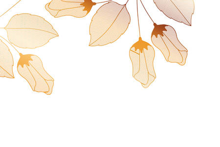 flowers with branches and leaves isolated icon vector illustration designのイラスト素材