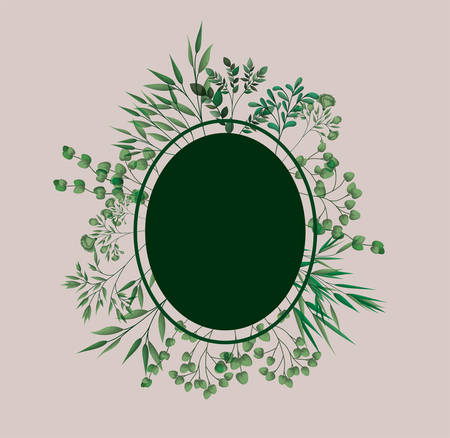 circular frame with laurel leafs vector illustration designのイラスト素材