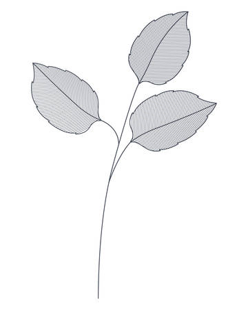 branches with leaves isolated icon vector illustration designのイラスト素材