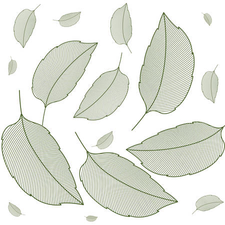 leaf pattern isolated icon vector illustration designのイラスト素材