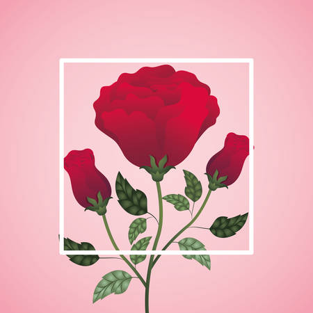 frame with beautiful rose vector illustration designのイラスト素材