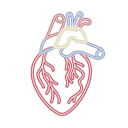 heart with veins isolated icon vector illustration desingのイラスト素材