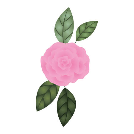 beautiful rose with leafs isolated icon vector illustration desingのイラスト素材