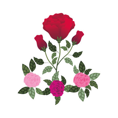 beautiful roses with leafs isolated icon vector illustration desingのイラスト素材
