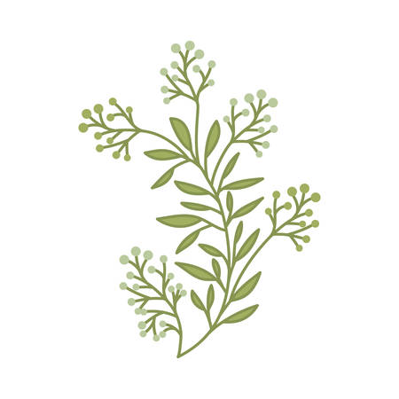 flowers with leafs isolated icon vector illustration designのイラスト素材