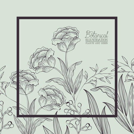 roses flowers decorative square frame vector illustration designのイラスト素材