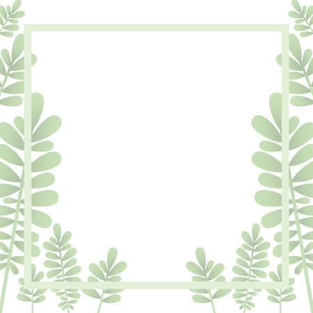 branch and leaf with frame isolated icon vector illustration desingのイラスト素材