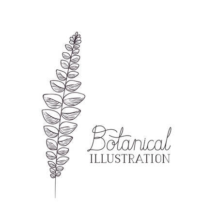 botanical illustration label with plant vector illustration desingのイラスト素材
