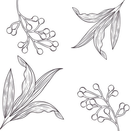 pattern flowers and leafs isolated icon vector illustration desingのイラスト素材