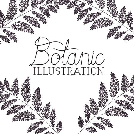 botanic illustration label with plants vector illustration desingのイラスト素材