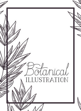 botanical illustration label with plants vector illustration desingのイラスト素材