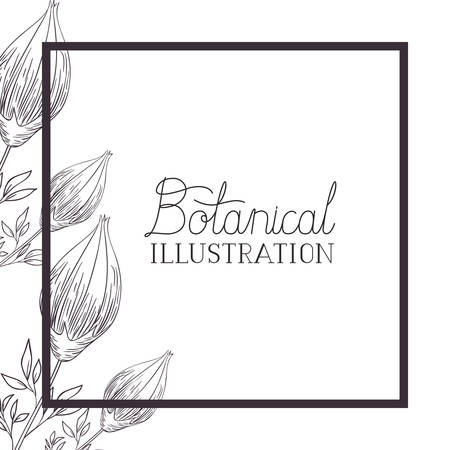 botanical illustration label with plants vector illustration desingのイラスト素材