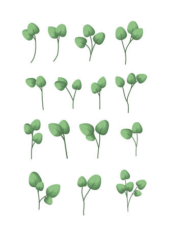set of laurel leafs vector illustration designのイラスト素材