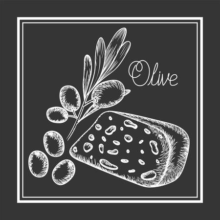olive plant and cheese drawn italian food vector illustration designのイラスト素材