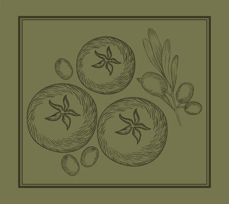 olive and tomatoes plant drawn italian food vector illustration designのイラスト素材