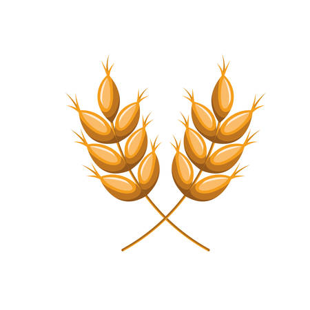 wheat leaves isolated icon vector illustration desingのイラスト素材